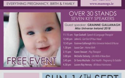 Pregnancy & Family Wellness Day  16th September  Sligo Park Hotel  11am – 5pm  FREE EVENT